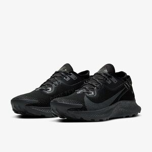 Nike Pegasus Trail 2 GORE-TEX (Black/Iron Grey-Mtlc Dark Grey)